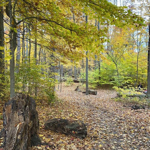 Meet your Posher, Coco